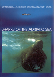 Sharks of the Adriatic sea