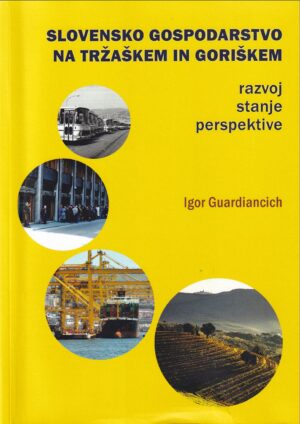 Slovensko gospodarstvo na Tržaškem in Goriškem : razvoj, stanje, perspektive