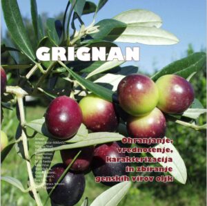 GRIGNAN. Ohranjanje, vrednotenje, karakterizacija in zbiranje genskih virov oljk
