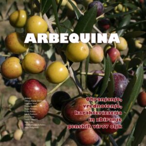 ARBEQUINA. Ohranjanje, vrednotenje, karakterizacija in zbiranje genskih virov oljk