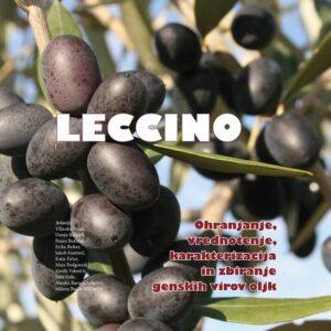 LECCINO. Ohranjanje, vrednotenje, karakterizacija in zbiranje genskih virov oljk