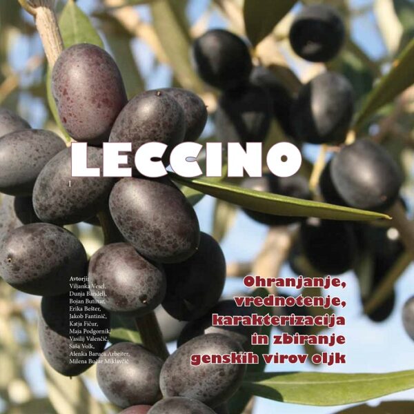 LECCINO. Ohranjanje, vrednotenje, karakterizacija in zbiranje genskih virov oljk