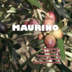 MAURINO. Ohranjanje, vrednotenje, karakterizacija in zbiranje genskih virov oljk