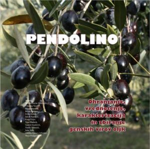 PENDOLINO. Ohranjanje, vrednotenje, karakterizacija in zbiranje genskih virov oljk
