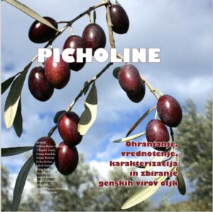 PICHOLINE. Ohranjanje, vrednotenje, karakterizacija in zbiranje genskih virov oljk
