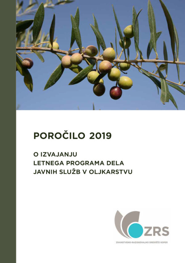 Javna služba - poročilo 2019