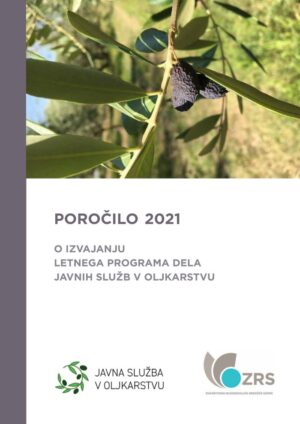 Javna služba - poročilo 2021