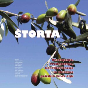ŠTORTA. Ohranjanje, vrednotenje, karakterizacija in zbiranje genskih virov oljk