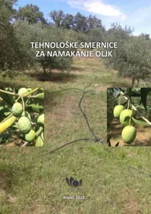 Tehnološke smernice za namakanje oljk