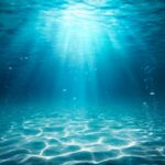 sea