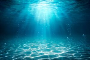 sea