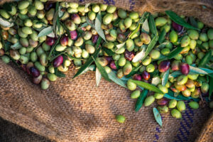 olive
