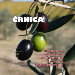ČRNICA: Ohranjanje, vrednotenje, karakterizacija in zbiranje genskih virov oljk