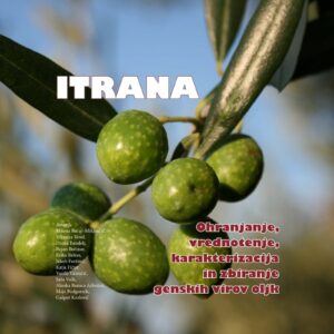 ITRANA: Ohranjanje, vrednotenje, karakterizacija in zbiranje genskih virov oljk