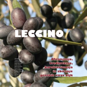 LECCINO: Ohranjanje, vrednotenje, karakterizacija in zbiranje genskih virov oljk