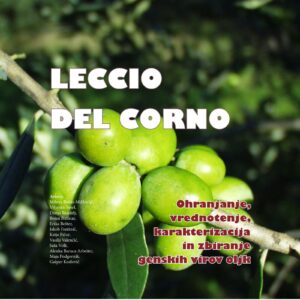 LECCIO DEL CORNO: Ohranjanje, vrednotenje, karakterizacija in zbiranje genskih virov oljk