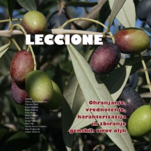 LECCIONE: Ohranjanje, vrednotenje, karakterizacija in zbiranje genskih virov oljk