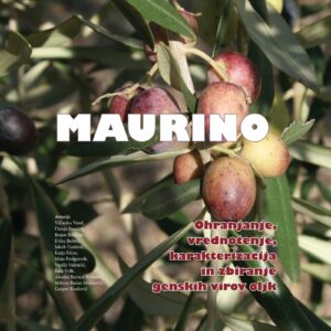 MAURINO: Ohranjanje, vrednotenje, karakterizacija in zbiranje genskih virov oljk