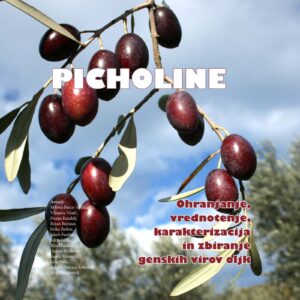 PICHOLINE: Ohranjanje, vrednotenje, karakterizacija in zbiranje genskih virov oljk